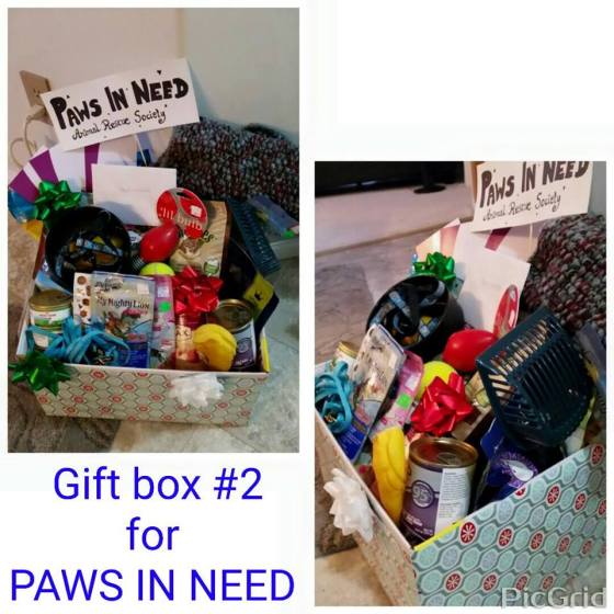 paws box 1