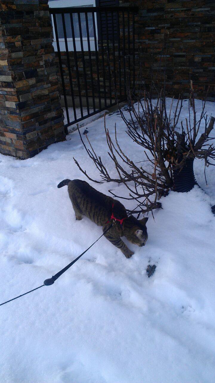 10931725_10152708716558379_3080915798472898895_o