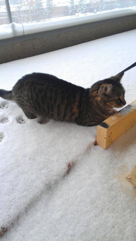 529207_10151781434243379_1940722214_n