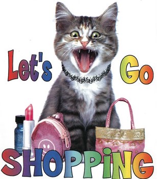 shoppingkitty