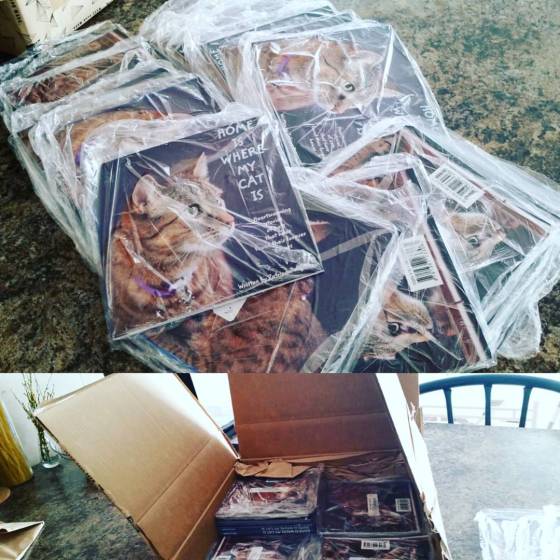 14295513_114165549046947_1619328762241875968_n1