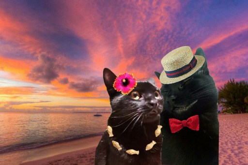 IMG_20170428_190741_844