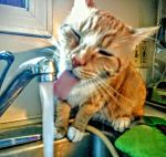 14568189_551415591709256_5530481663777618491_n