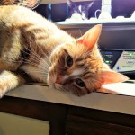 IMG_20170108_174023_315