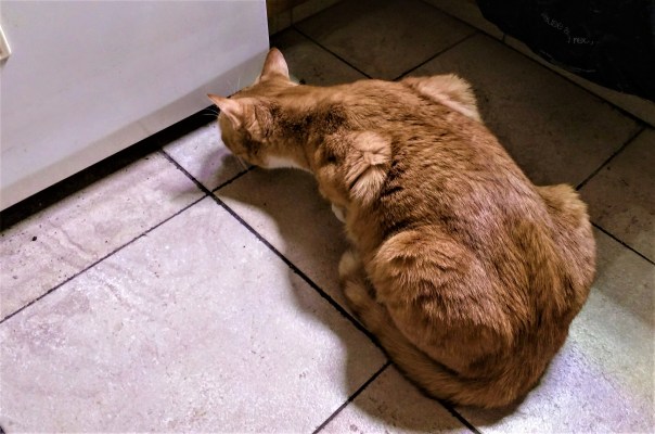 IMG_20170214_094802_336