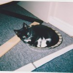 IMG_20170420_100445_085