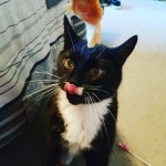 IMG_20170426_183126_762