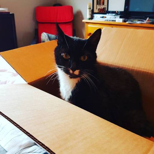 IMG_20170429_110313_777