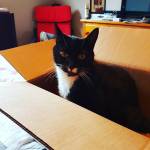 IMG_20170429_110313_777