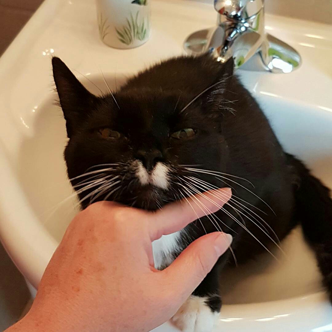 kerrilynnerapson-1483647460819