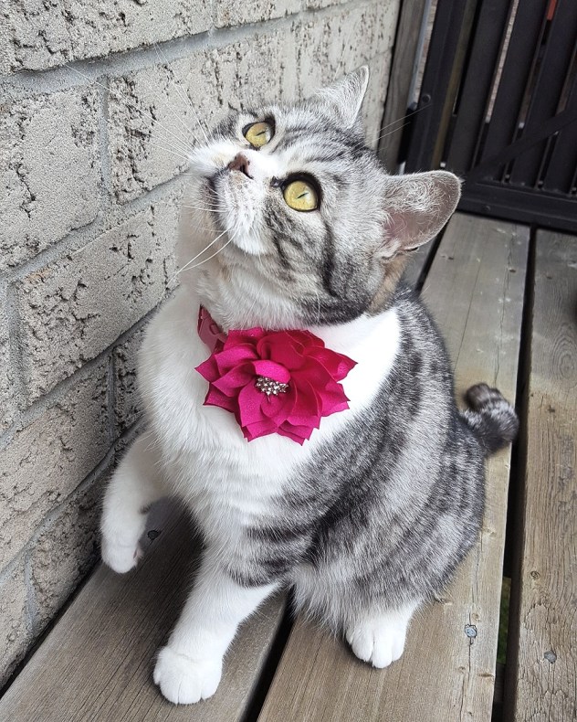 IMG_20170428_123017_858