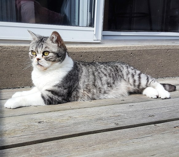 IMG_20170521_123623_043