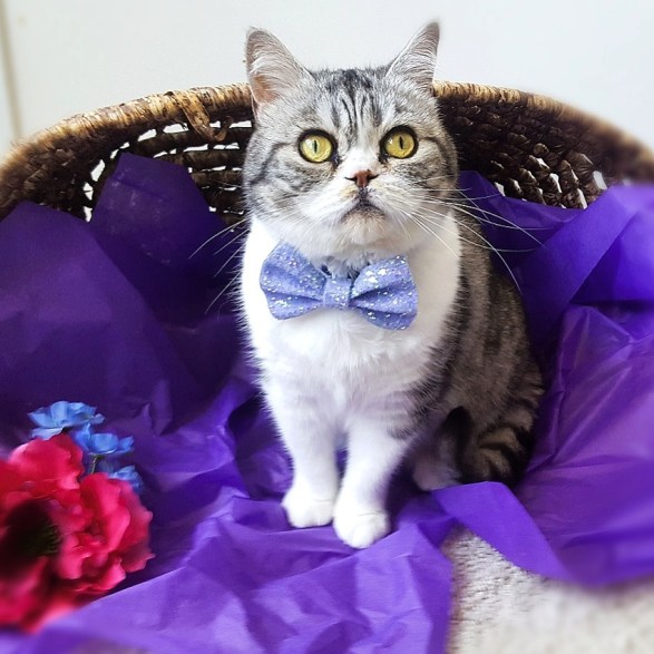 IMG_20170531_100935_529