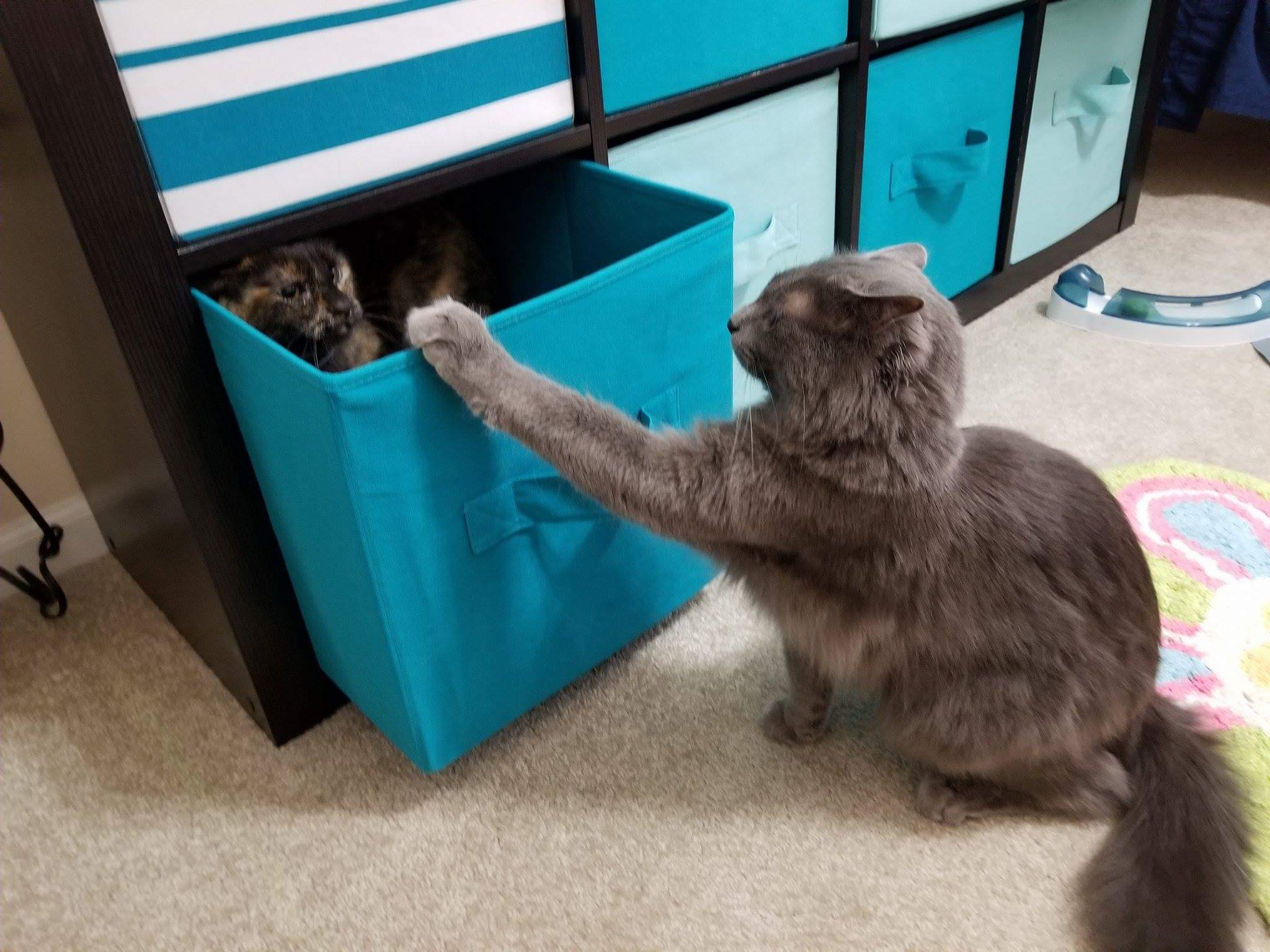 received_10213206698832919