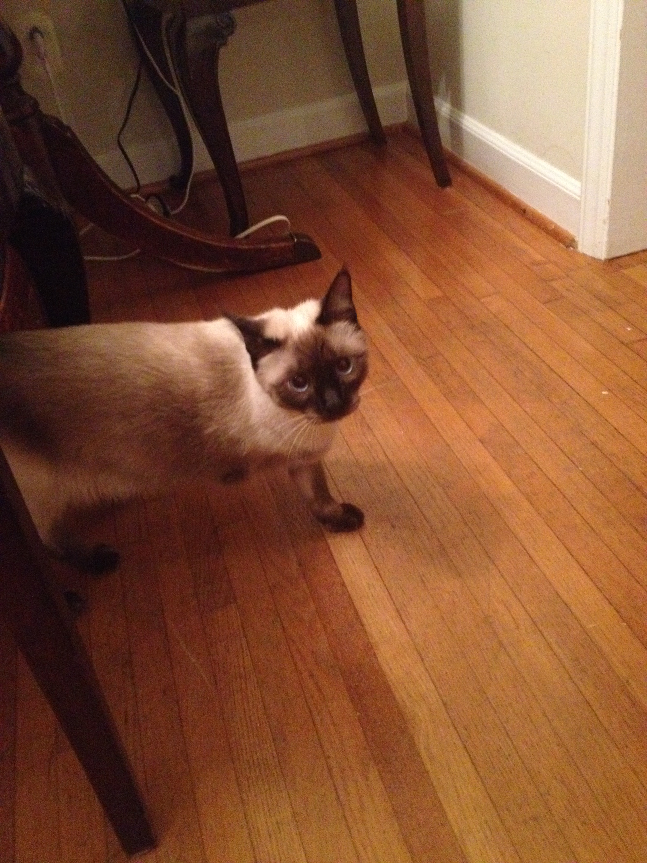 813844C4-4502-4512-BD4D-28DEDF996654