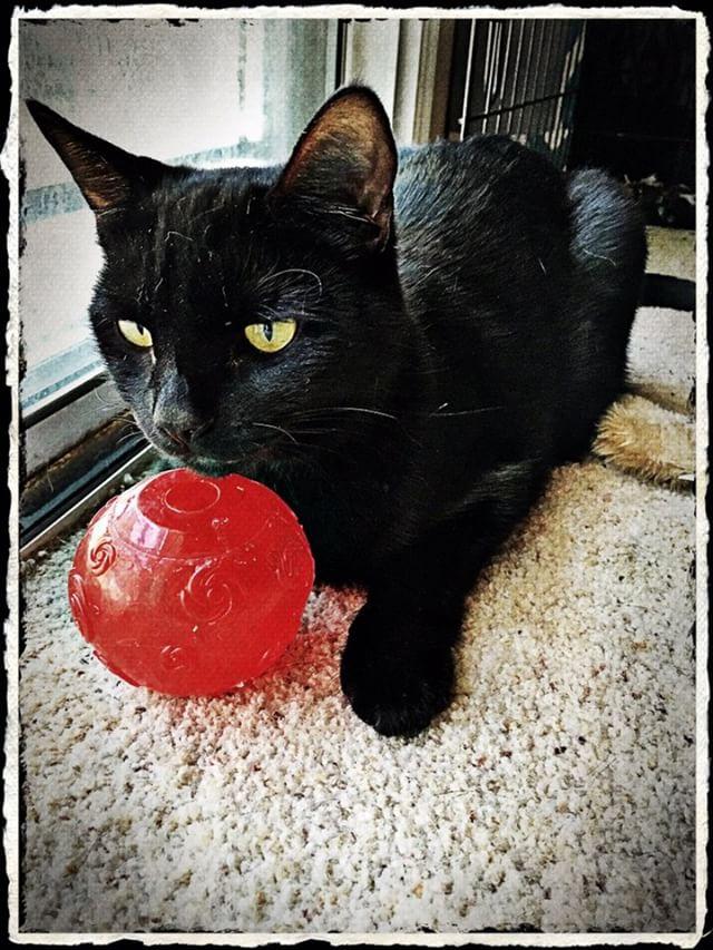 IMG_20170908_145603_314