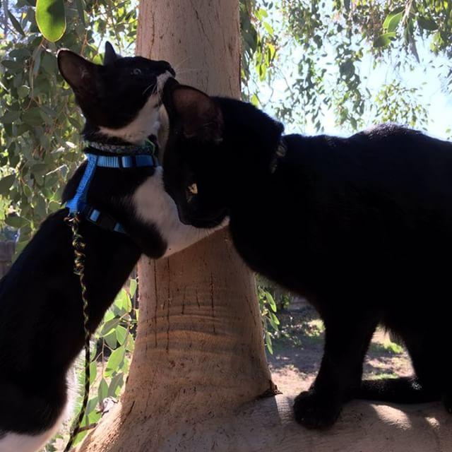 IMG_20170908_145608_234