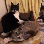 IMG_20170908_145638_922