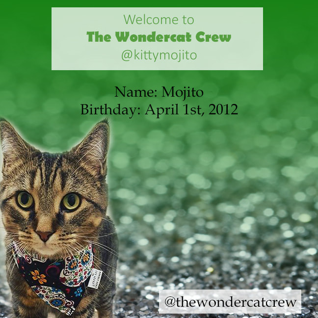 kitty-mojito-welcome_orig