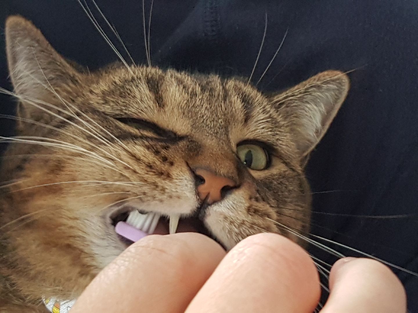 Resized_20170914_141838