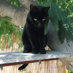 Screenshot_20170908-170301