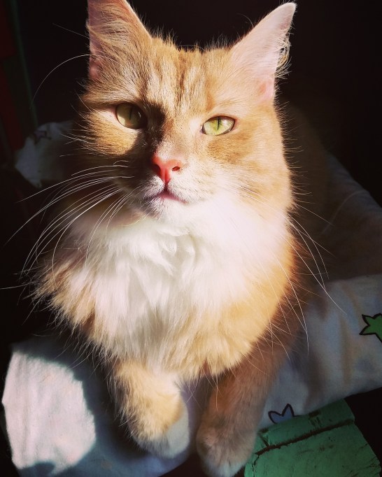 IMG_20171119_144303_530