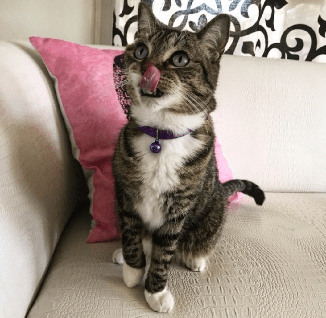 Screenshot_20180127-193629