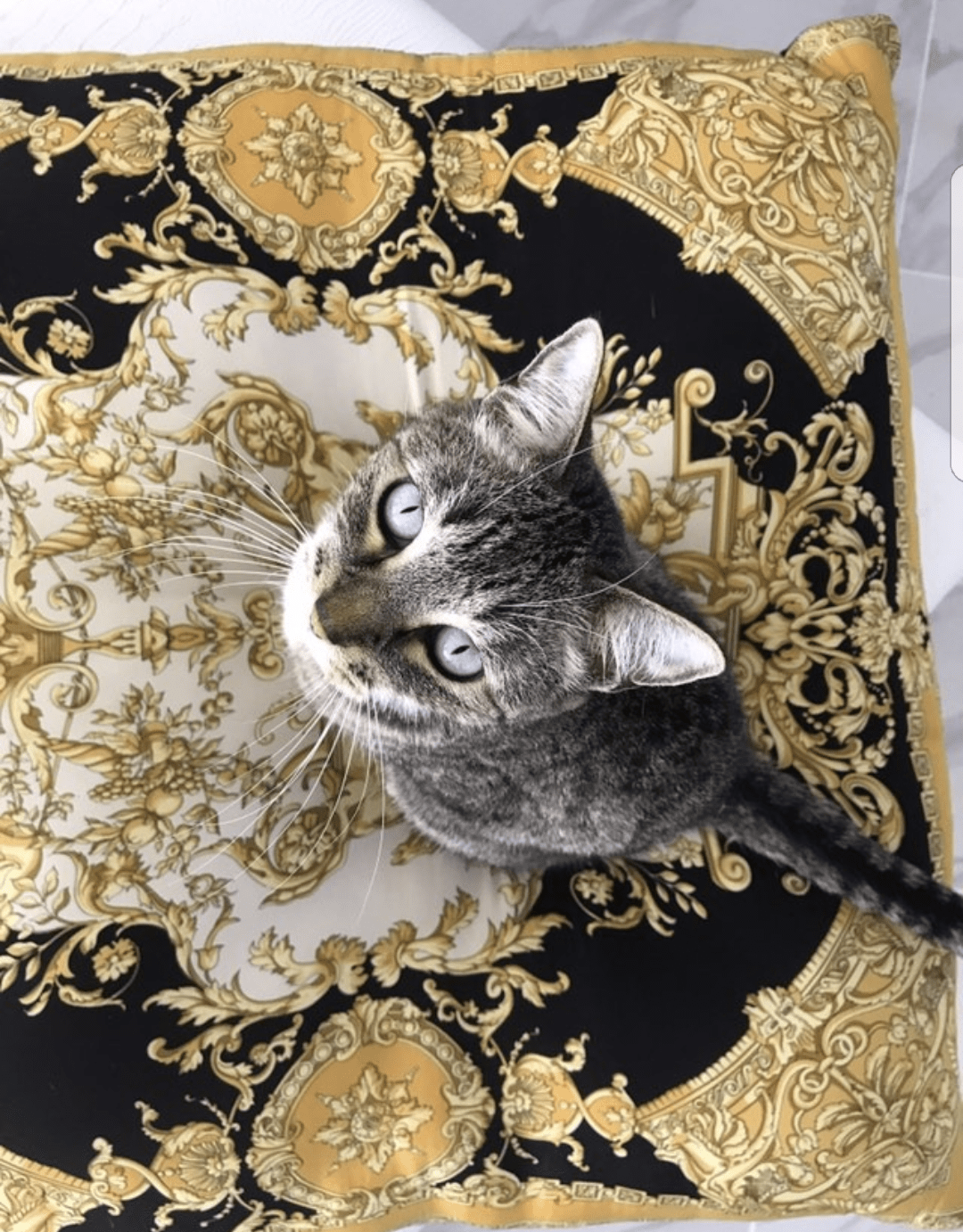 Screenshot_20180127-193643